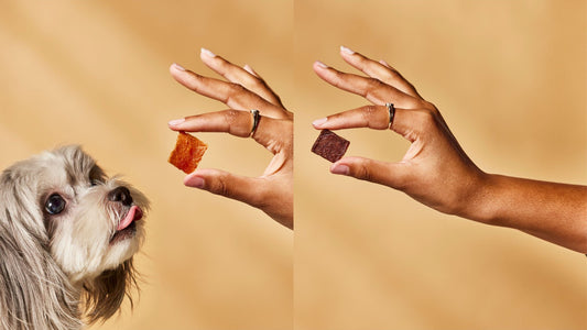 Chicken & Beef Bites Pair